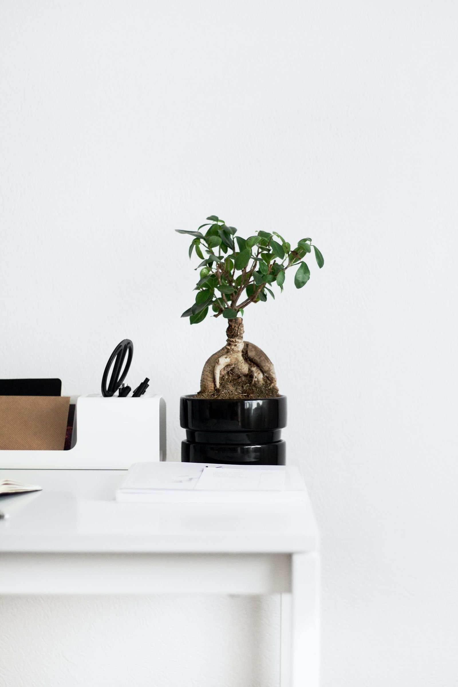 Small Desk, Big Clutter: Organization Ideas for Compact Spaces